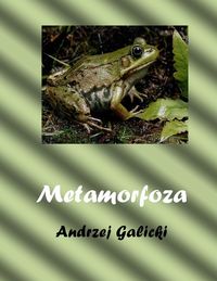 Produktbild: Metamorfoza