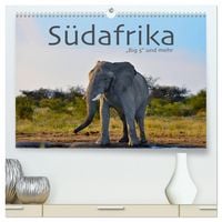 Produktbild: S&uuml;dafrika - Big 5 und mehr (hochwertiger Premium Wandkalender 2026 DIN A2 quer), Kunstdruck in Hochglanz