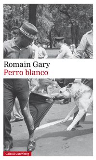 Produktbild: Perro blanco