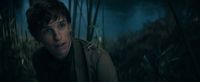 Phantastische Tierwesen: Dumbledores Geheimnisse