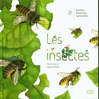 Produktbild: Les insectes