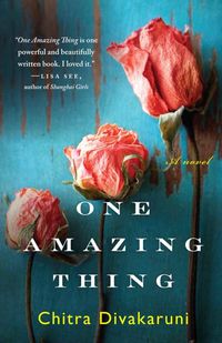 Produktbild: One Amazing Thing