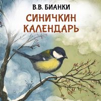 Produktbild: Sinichkin kalendar'