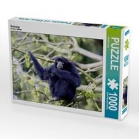 Produktbild: CALVENDO Puzzle Siamang | 1000 Teile Lege-Gr&ouml;&szlig;e 64x48cm Foto-Puzzle f&uuml;r gl&uuml;ckliche Stunden