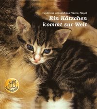 Produktbild: Ein K&auml;tzchen kommt zur Welt