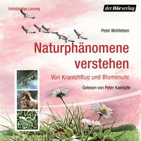 Produktbild: Naturph&auml;nomene verstehen
