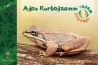 Produktbild: Agac Kurbagasinin Yasam D&ouml;ng&uuml;s&uuml;