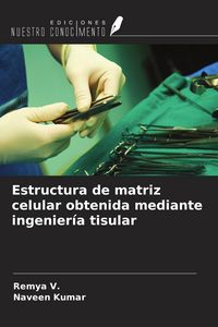 Produktbild: Estructura de matriz celular obtenida mediante ingenier&iacute;a tisular