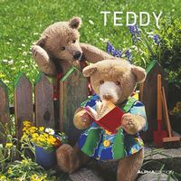Bild vom Artikel Teddy 2024 - Broschürenkalender 30x30 cm (30x60 geöffnet) - Kalender mit Platz für Notizen - Bildkalender - Wandkalender - mit herausnehmbarem Post vom Autor 
