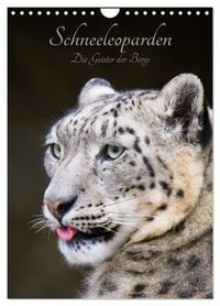 Produktbild: Schneeleoparden - Die Geister der Berge (Wandkalender 2027 DIN A4 hoch), CALVENDO Monatskalender