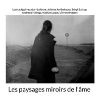 Produktbild: Les paysages miroirs de l'&acirc;me