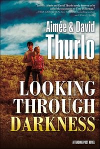 Produktbild: Looking Through Darkness