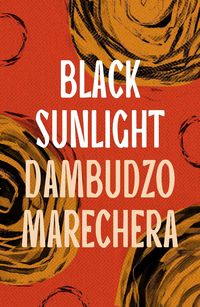Produktbild: Black Sunlight