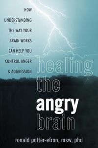 Produktbild: Healing the Angry Brain