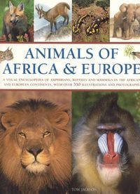 Produktbild: Animals of Africa and Europe