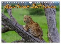 Produktbild: Abenteuer Botswana Afrika - Adventure Botswana (Wandkalender 2027 DIN A4 quer), CALVENDO Monatskalender