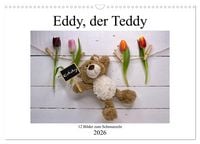 Produktbild: Eddy, der Teddy - 12 Bilder zum Schmunzeln (Wandkalender 2026 DIN A3 quer), CALVENDO Monatskalender