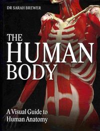 Produktbild: Brewer, D: The Human Body