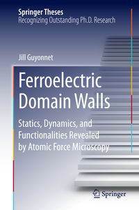 Produktbild: Ferroelectric Domain Walls