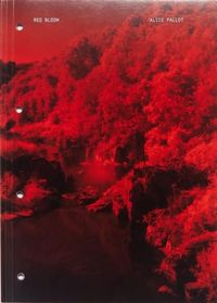 Produktbild: Red Bloom