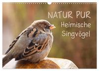 Produktbild: NATUR PUR Heimische Singv&ouml;gel (Wandkalender 2026 DIN A3 quer), CALVENDO Monatskalender
