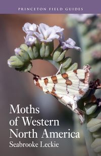 Produktbild: Moths of Western North America