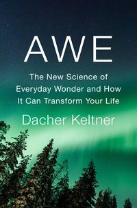 Bild vom Artikel Awe: The New Science of Everyday Wonder and How It Can Transform Your Life vom Autor Dacher Keltner