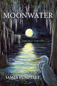 Produktbild: Moonwater