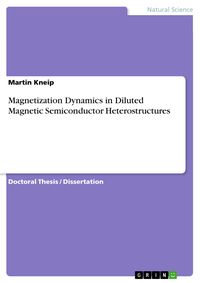 Produktbild: Magnetization Dynamics in Diluted Magnetic Semiconductor Heterostructures