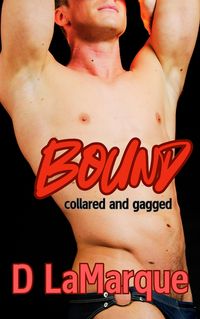 Produktbild: Bound, Collared and Gagged