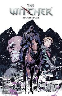 Produktbild: The Witcher Volume 11