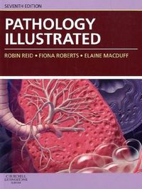 Produktbild: Reid, R: Pathology Illustrated