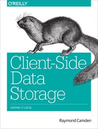 Produktbild: Client-Side Data Storage