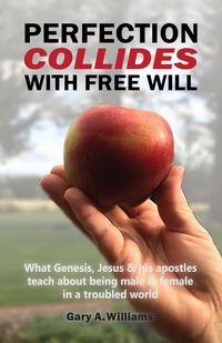 Produktbild: Perfection Collides With Free Will