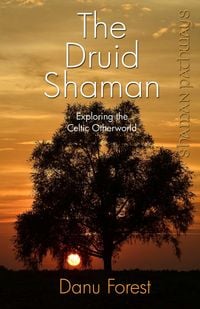 Produktbild: Shaman Pathways - the Druid Shaman