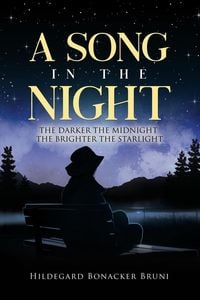 Produktbild: A Song in the Night