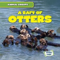 Produktbild: Raft Of Otters