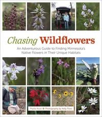Produktbild: Chasing Wildflowers