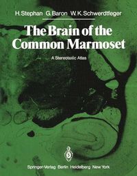 Produktbild: The Brain of the Common Marmoset (Callithrix jacchus)