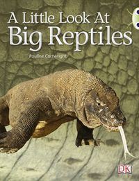 Produktbild: Bug Club Non-fiction Blue (KS1) B/1B A Little Look of Reptiles 6-pack