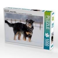 Produktbild: CALVENDO Puzzle Hovawart - Spass im Schnee | 1000 Teile Lege-Gr&ouml;&szlig;e 64x48cm Foto-Puzzle f&uuml;r gl&uuml;ckliche Stunden