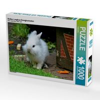 Produktbild: CALVENDO Puzzle Wei&szlig;es Langhaar-Zwergkaninchen | 1000 Teile Lege-Gr&ouml;&szlig;e 64x48cm Foto-Puzzle f&uuml;r gl&uuml;ckliche Stunden
