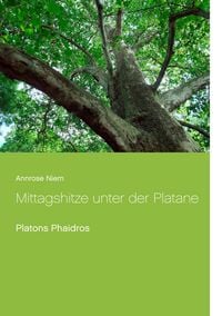 Produktbild: Mittagshitze unter der Platane