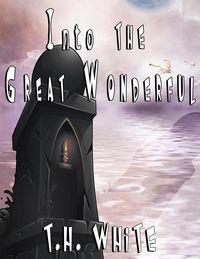 Produktbild: Into the Great Wonderful