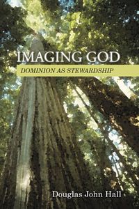 Produktbild: Imaging God