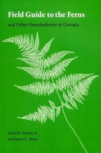Produktbild: Field Guide to the Ferns