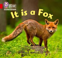 Produktbild: It is a Fox