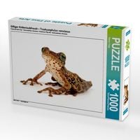 Produktbild: Giftiger Kr&ouml;tenlaubfrosch - Trachycephalus venulosus (Puzzle)