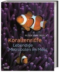 Produktbild: Korallenriffe