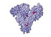 Produktbild: Estimation of Serum Albumin